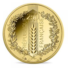 Kolekcinė 250 Eur moneta Kviečiai, auksinė kaina ir informacija | Numizmatika | pigu.lt