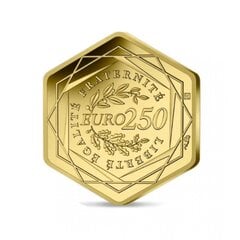 Kolekcinė 250 Eur moneta Olimpinės žaidynės, auksinė kaina ir informacija | Numizmatika | pigu.lt