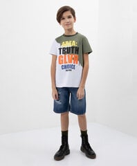 Короткие шорты для мальчиков, синие цена и информация | Шорты для мальчиков Gulliver, серые милитари | pigu.lt