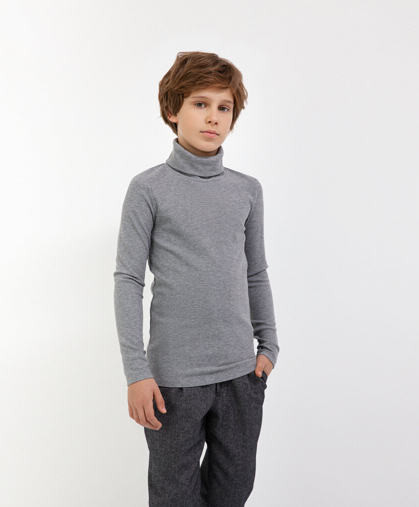 Megztinis berniukams, pilkas kaina ir informacija | Megztiniai, bluzonai, švarkai berniukams | pigu.lt