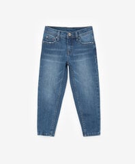 детские брюки с качелями 80 см, голубые TM17499 цена и информация | Спортивные штаны для мальчиков | pigu.lt