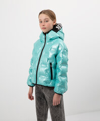 Куртка для девочек, синяя цена и информация | Куртки, пальто для девочек | pigu.lt