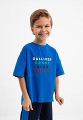 Marškinėliai berniukams, mėlyni kaina ir informacija | Marškinėliai berniukams | pigu.lt