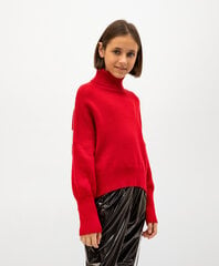 Megztinis mergaitėms, raudonas kaina ir informacija | Megztiniai, bluzonai, švarkai mergaitėms | pigu.lt
