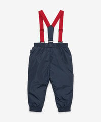 детские брюки с качелями 80 см, голубые TM17499 цена и информация | Пальто, куртки для малышей | pigu.lt