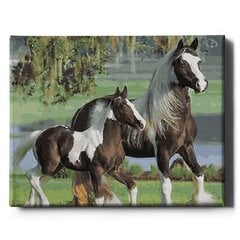 Картина по номерам "Красивые лошади" Oh Art! 40 x 50 см цена и информация | Живопись по номерам | pigu.lt