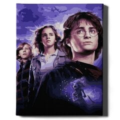 Tapyba pagal skaičius Harry Potter Oh Art!, 40x50 cm kaina ir informacija | Tapyba pagal skaičius | pigu.lt