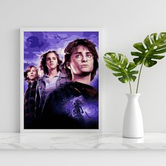 Картина по номерам "Гарри Поттер" Oh Art! 40 x 50 см цена и информация | Живопись по номерам | pigu.lt