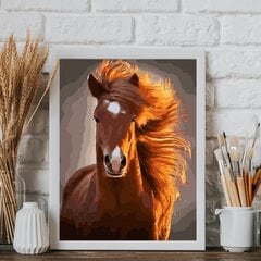 Картина по номерам "Лошадь" Oh Art! 40x50 см цена и информация | Живопись по номерам | pigu.lt