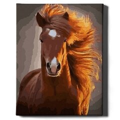 Картина по номерам "Лошадь" Oh Art! 40x50 см цена и информация | Живопись по номерам | pigu.lt