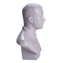 Бюст, статуэтка Владимир Зеленский 15 см цена и информация | Другие оригинальные подарки | pigu.lt