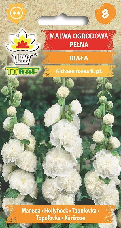 Balta aukštoji piliarožė Toraf kaina ir informacija | Gėlių sėklos | pigu.lt