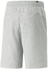 Шорты мужские Puma Ess+ 2 Col Shorts 586766 04/M, серые цена и информация | Мужские шорты | pigu.lt