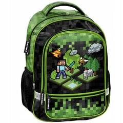 Mokyklinė kuprinė Paso Pixel, 18 l цена и информация | Школьные рюкзаки, спортивные сумки | pigu.lt