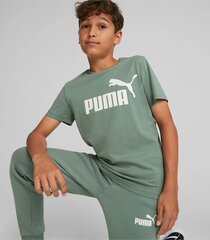 Puma Футболки Ess+ 2 Col Logo Tee Green 586985 75 586985 75/176 цена и информация | Рубашка для мальчиков | pigu.lt