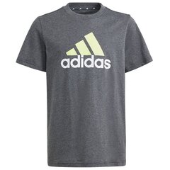 Marškinėliai berniukams Adidas Big Logo Tee IJ6286, pilki kaina ir informacija | Marškinėliai berniukams | pigu.lt