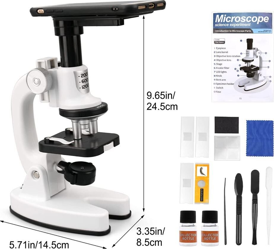 Mikroskopo rinkinys vaikams 200/1200x kaina ir informacija | Lavinamieji žaislai | pigu.lt