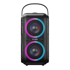 Wireless Bluetooth Speaker W-KING T9-2 80W (black) цена и информация | Аудиоколонки | pigu.lt