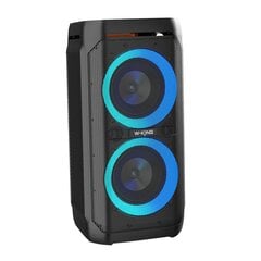 Wireless Bluetooth Speaker W-KING T11 100W (black) цена и информация | Аудиоколонки | pigu.lt