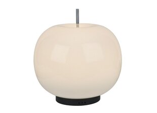 Witek Home stalinis šviestuvas Apple MT5070-1A цена и информация | Настольные светильники | pigu.lt