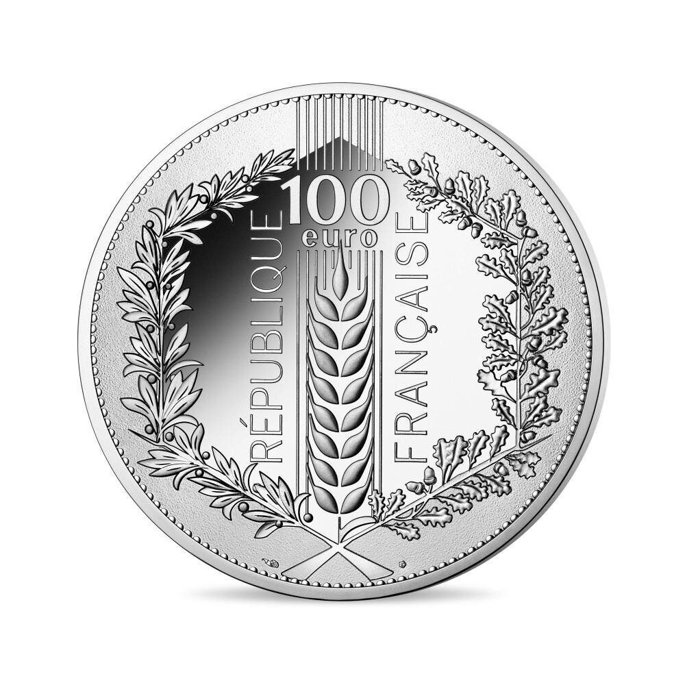 Kolekcinė 100 Eur moneta Ąžuolo lapas, sidabrinė kaina ir informacija | Numizmatika | pigu.lt