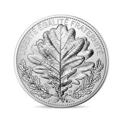 Kolekcinė 100 Eur moneta Ąžuolo lapas, sidabrinė kaina ir informacija | Numizmatika | pigu.lt
