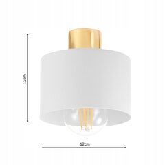 Подвесной светильник Led-lux цена и информация | Подвесной светильник | pigu.lt