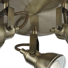 Searchlight Потолочный светильник прожектор Focus 1543AB цена и информация | Потолочные светильники | pigu.lt