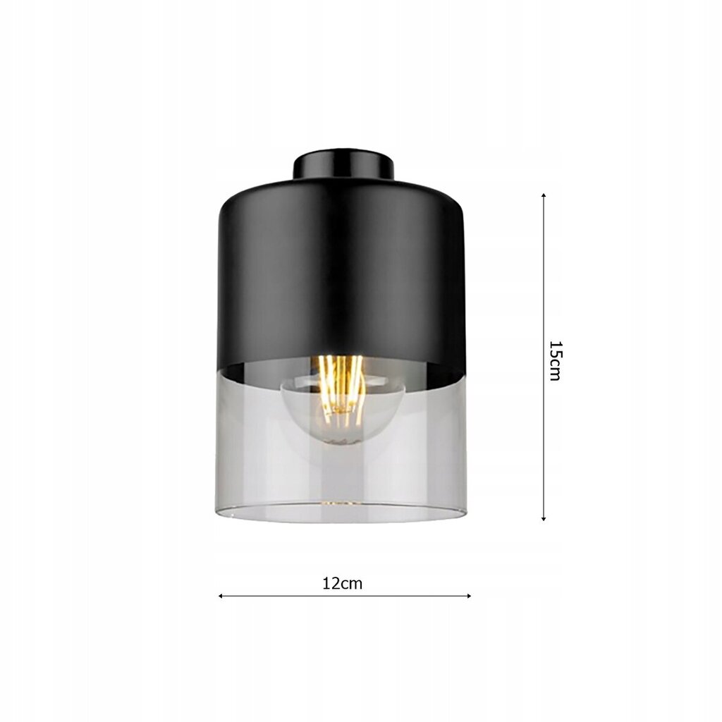 Led-lux pakabinamas šviestuvas LX-1269 kaina ir informacija | Pakabinami šviestuvai | pigu.lt