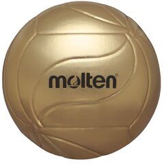 Volleyball ball souvenir MOLTEN V5M9500 synth. leather size 5 цена и информация | Molten Сетевой | pigu.lt