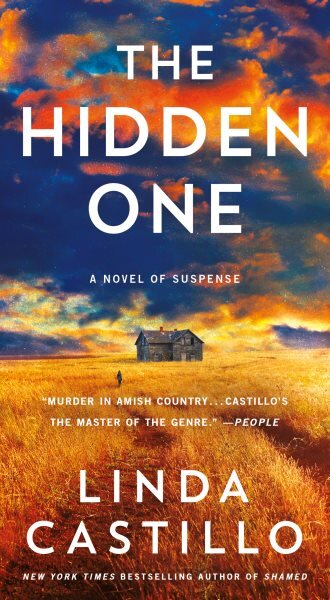 Hidden One: A Novel of Suspense kaina ir informacija | Fantastinės, mistinės knygos | pigu.lt