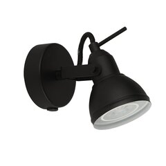 Searchlight Настенный светильник Focus 1541BK цена и информация | Настенные светильники | pigu.lt