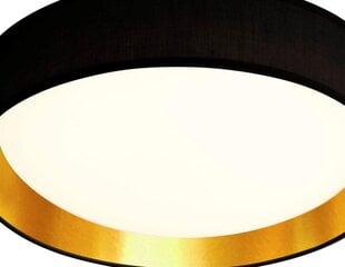 Searchlight потолочный светильник Gianna LED 9371-50BGO цена и информация | Потолочные светильники | pigu.lt