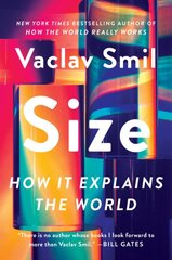 Size: How It Explains the World цена и информация | Книги по экономике | pigu.lt