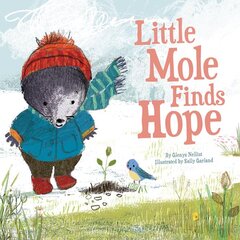 Little Mole Finds Hope цена и информация | Книги для подростков  | pigu.lt