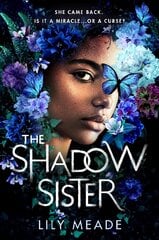 Shadow Sister цена и информация | Книги для подростков и молодежи | pigu.lt