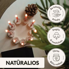 BlueBee Candles bičių vaško žvakės su dviem stoveliais, 40 vnt. kaina ir informacija | Žvakės, Žvakidės | pigu.lt