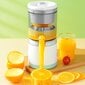 Citrus Juicer kaina ir informacija | Sulčiaspaudės | pigu.lt