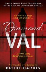 Diamond Val kaina ir informacija | Fantastinės, mistinės knygos | pigu.lt
