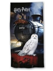 Хлопковое полотенце Гарри Поттер 70 х 140 цена и информация | Полотенца | pigu.lt