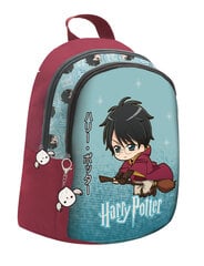 Рюкзак Гарри Поттера цена и информация | Школьные рюкзаки, спортивные сумки | pigu.lt