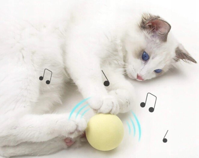 Žaislas katėms Dogsy kaina ir informacija | Žaislai katėms | pigu.lt