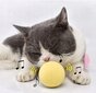 Žaislas katėms Dogsy kaina ir informacija | Žaislai katėms | pigu.lt