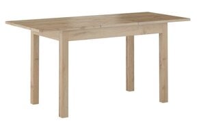 Стол раскладной Wolis 120/160x 70см цена и информация | Кухонные и обеденные столы | pigu.lt