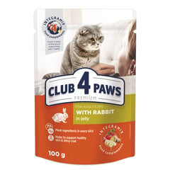 Club 4 Paws Premium suaugusioms katėms su triušiena drebučiuose, 100 g x 24 vnt. kaina ir informacija | Konservai katėms | pigu.lt