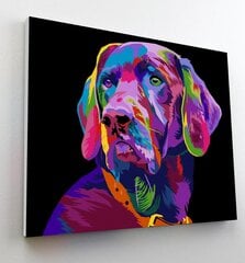 Картина по номерам Собака, Splat Planet, 30х40 см цена и информация | Живопись по номерам | pigu.lt
