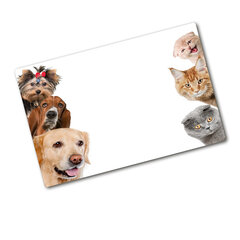 Tulup pjaustymo lentelė Šunų katės, 80x52 cm kaina ir informacija | Pjaustymo lentelės | pigu.lt