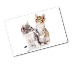 Tulup pjaustymo lentelė Dvi mažos katės, 80x52 cm цена и информация | Разделочная доска | pigu.lt