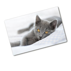 Tulup pjaustymo lentelė Pilka katė, 80x52 cm kaina ir informacija | Pjaustymo lentelės | pigu.lt