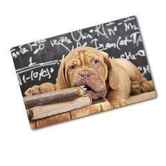 Tulup pjaustymo lentelė Šunų įkandimų knyga, 80x52 cm kaina ir informacija | Pjaustymo lentelės | pigu.lt
